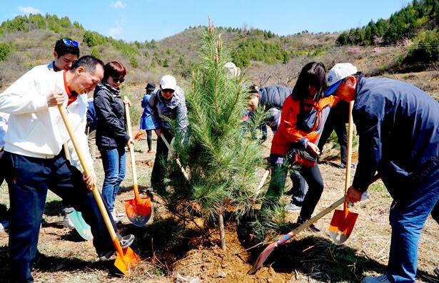 国家中医药管理局组织局机关及直属单位到北京市密云区义务植树