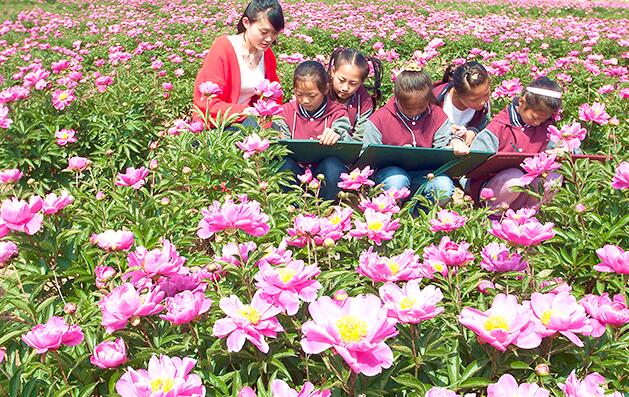 江苏省东海县李埝乡中心小学学生参观中药材种植基地