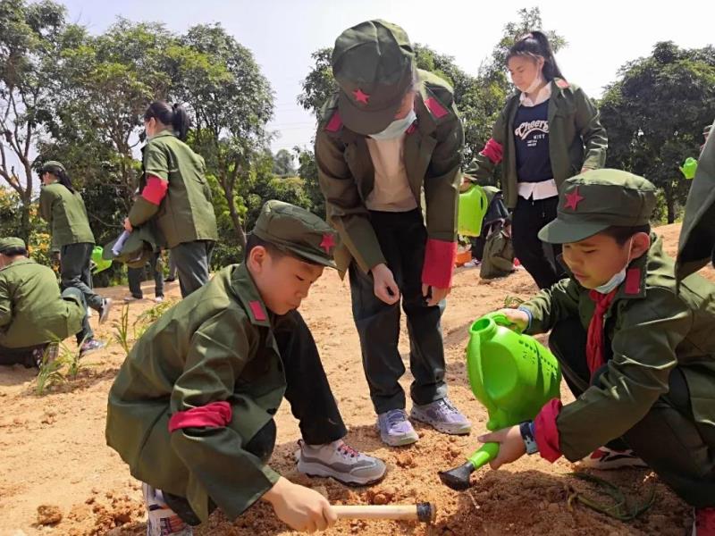 劳动实践：种植萱草